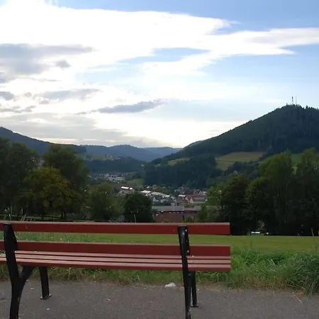 شقة Baiersbronner Panoramablick! Erholung Pur! بيرسبرون