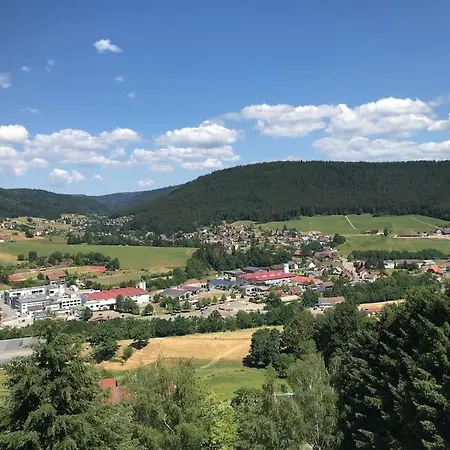 Baiersbronner Panoramablick! Erholung Pur! شقة بيرسبرون